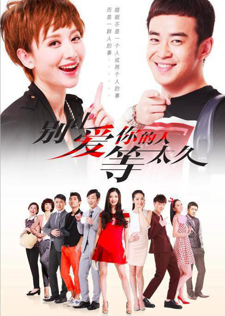 2016年12月播出的高分电视剧汇总,你追过哪部?