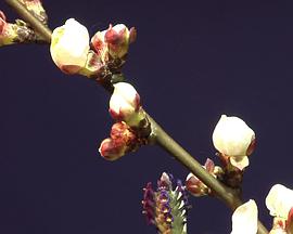 2010年1月上映的高分电影汇总,【必看推荐】建议收藏