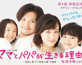 2014年11月播出的高分电视剧汇总,你追过哪部?