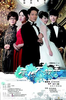 2015年1月播出的高分电视剧汇总,你追过哪部?