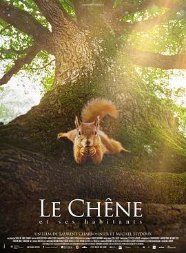 2022年2月上映的高分电影汇总,【必看推荐】建议收藏