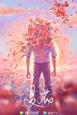 2023年2月播出的高分电视剧汇总,你追过哪部?