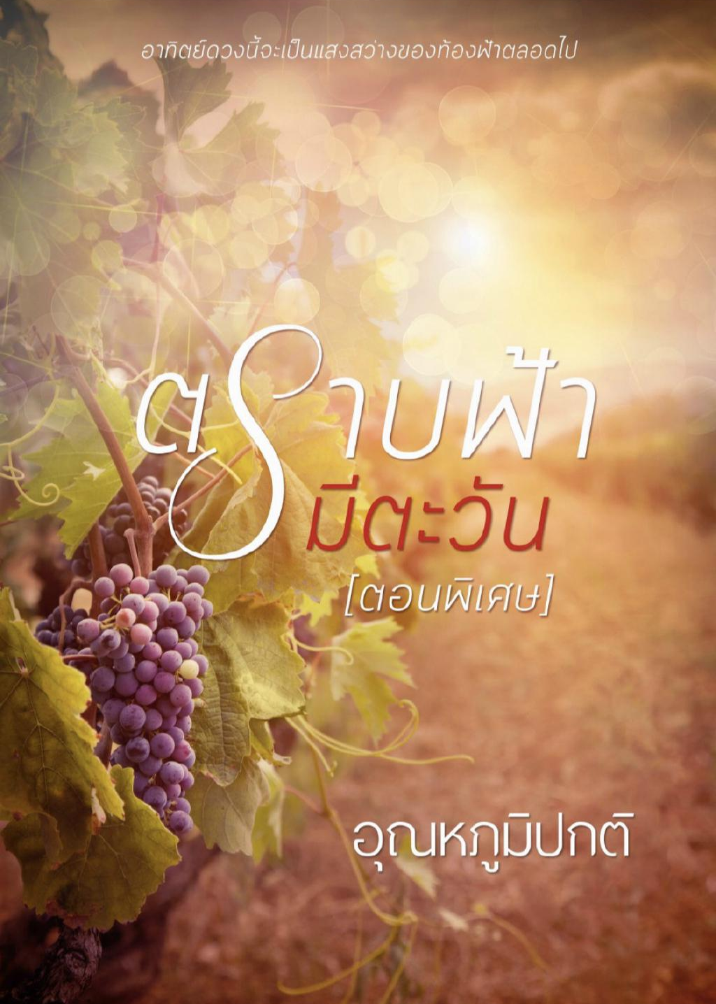 2020年12月播出的高分电视剧汇总,你追过哪部?