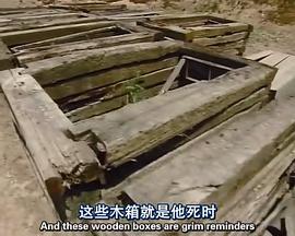 2010年3月上映的高分电影汇总,【必看推荐】建议收藏