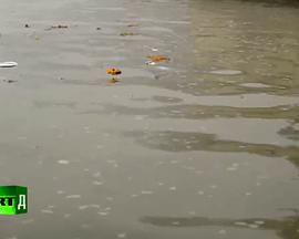 2017年3月上映的高分电影汇总,【必看推荐】建议收藏