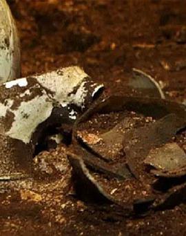 2015年11月上映的高分电影汇总,【必看推荐】建议收藏