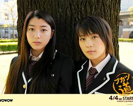 2010年4月上映的高分电影汇总,【必看推荐】建议收藏