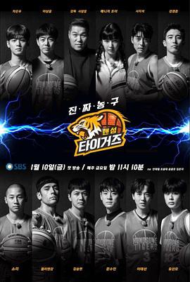 2020年1月播出的高分电视剧汇总,你追过哪部?