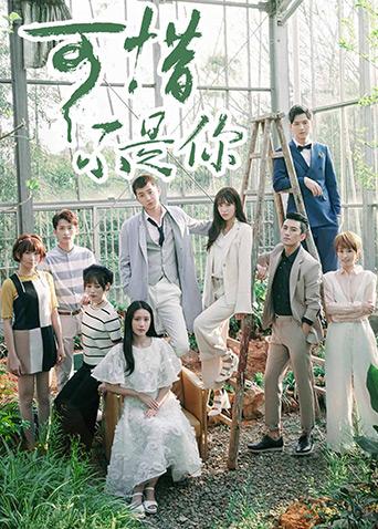 2017年11月播出的高分电视剧汇总,你追过哪部?