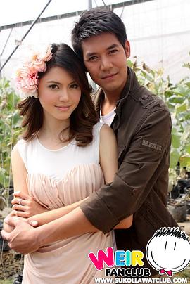 2010年12月播出的高分电视剧汇总,你追过哪部?