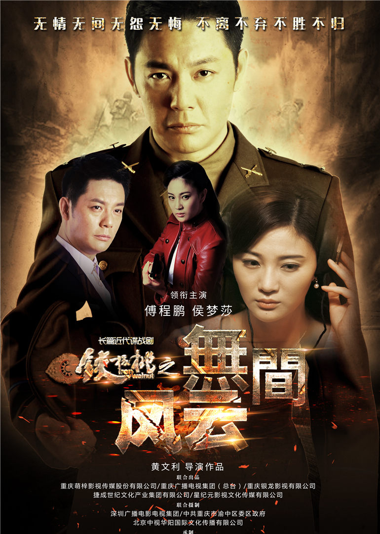 2015年1月播出的高分电视剧汇总,你追过哪部?