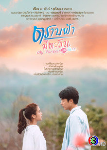 2020年12月播出的高分电视剧汇总,你追过哪部?