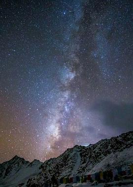 2014年1月上映的高分电影汇总,【必看推荐】建议收藏