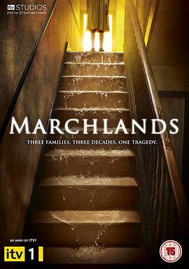 2011年2月播出的高分电视剧汇总,你追过哪部?