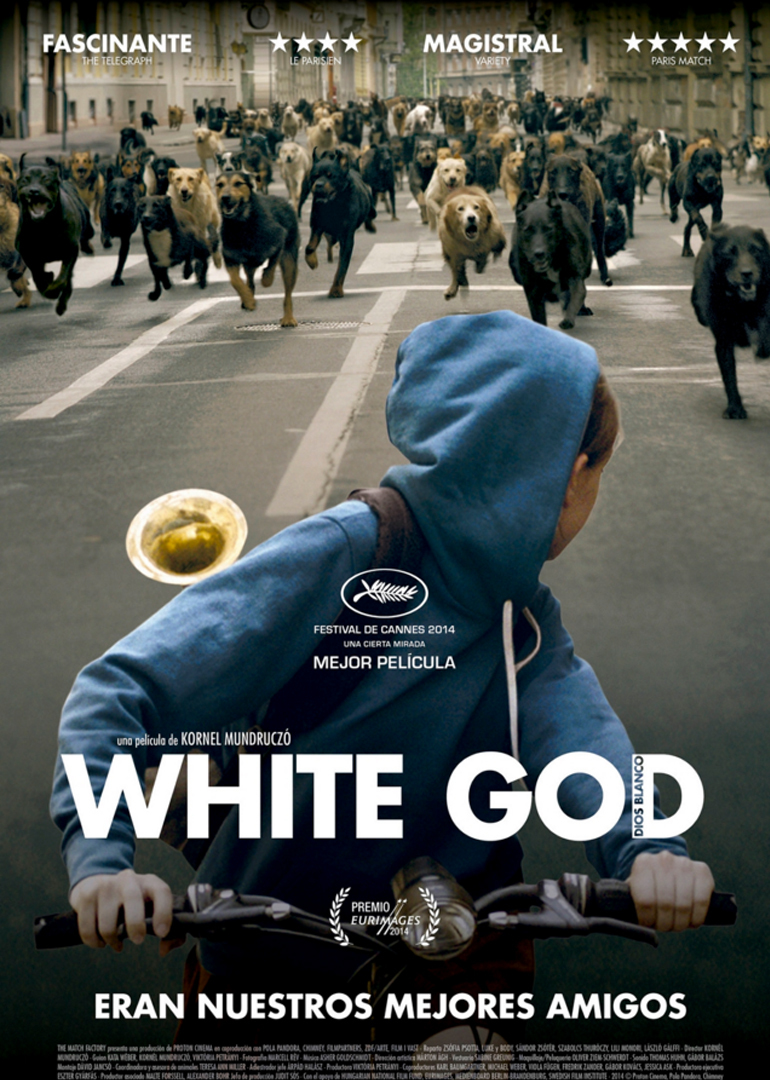 2014年5月上映的高分电影汇总,【必看推荐】建议收藏