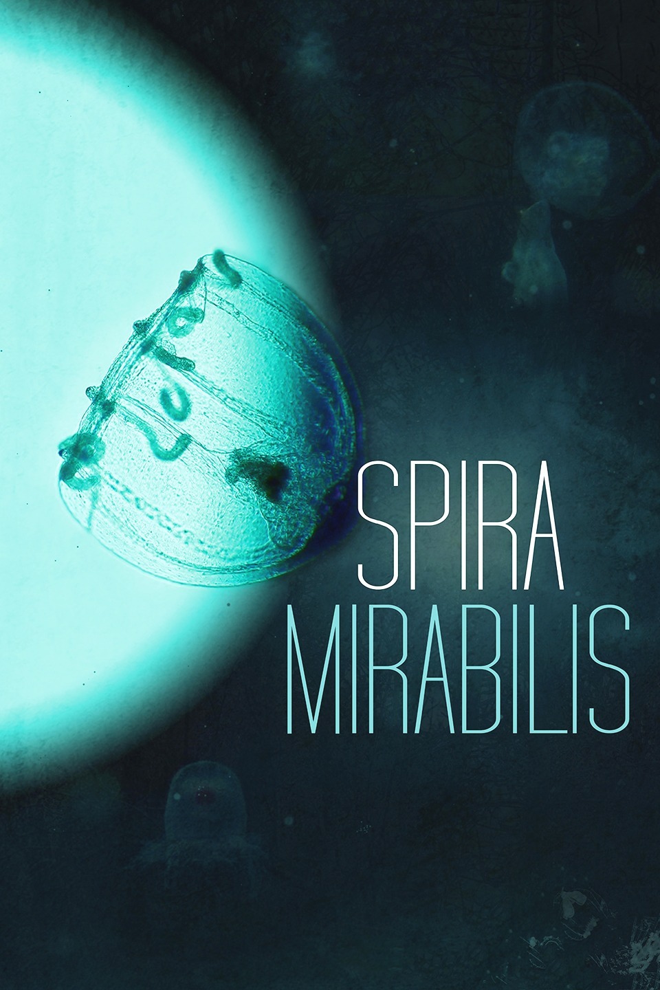 2016年9月上映的高分电影汇总,【必看推荐】建议收藏