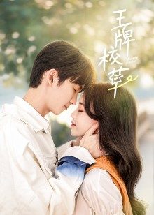 2022年3月播出的高分电视剧汇总,你追过哪部?