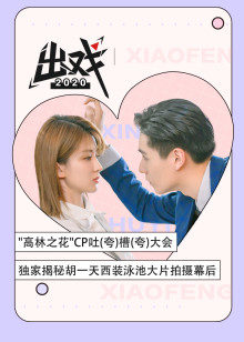 2020年12月播出的高分电视剧汇总,你追过哪部?