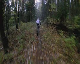 2010年4月上映的高分电影汇总,【必看推荐】建议收藏