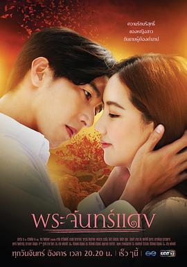 2021年11月播出的高分电视剧汇总,你追过哪部?