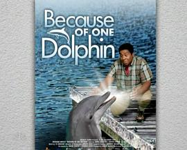 2011年11月播出的高分电视剧汇总,你追过哪部?