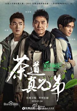 2015年1月播出的高分电视剧汇总,你追过哪部?