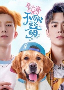 2022年2月播出的高分电视剧汇总,你追过哪部?