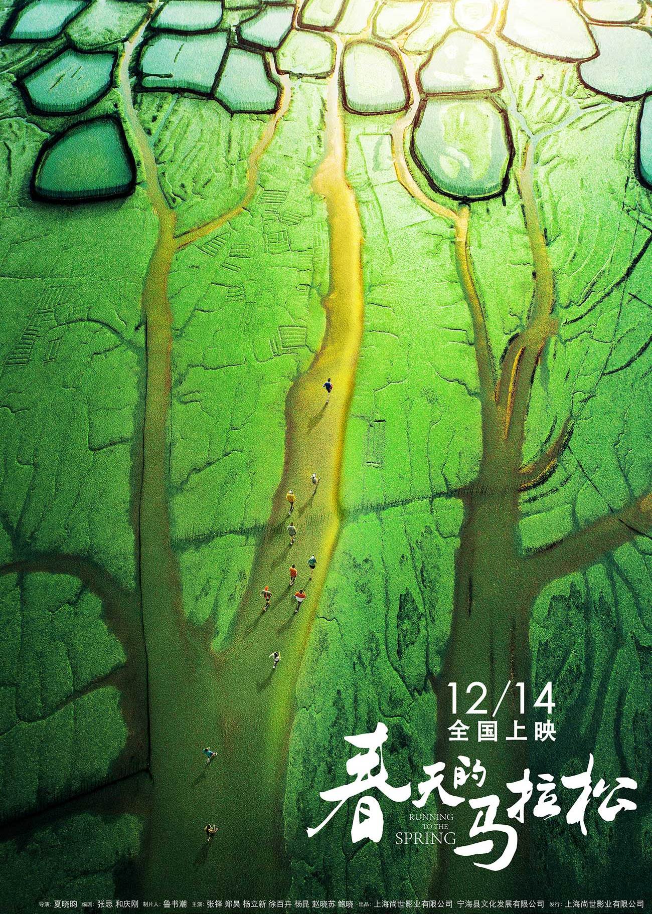 2018年12月上映的高分电影汇总,【必看推荐】建议收藏