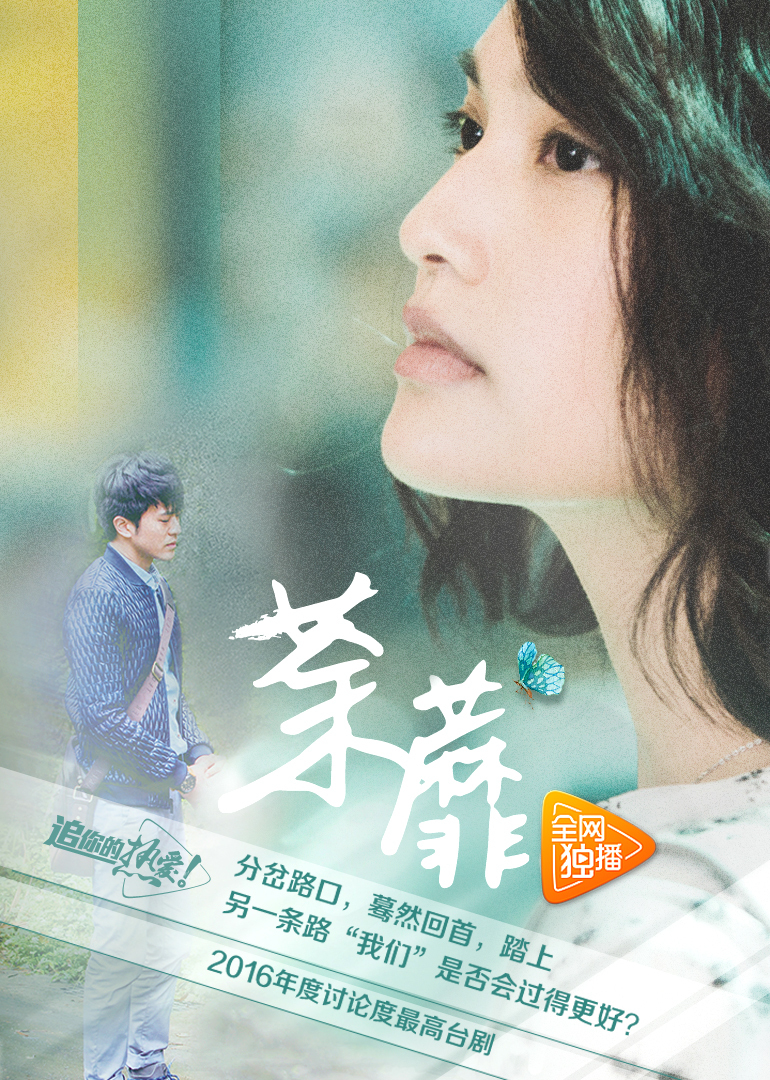 2016年10月播出的高分电视剧汇总,你追过哪部?