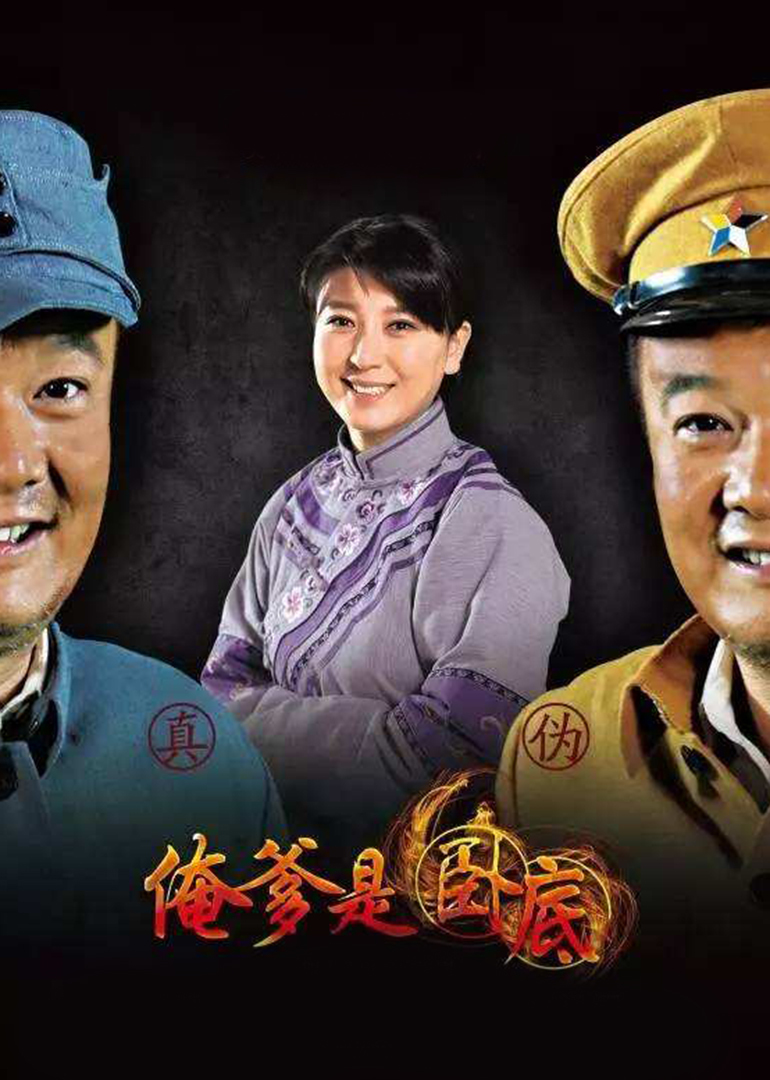 2017年5月播出的高分电视剧汇总,你追过哪部?