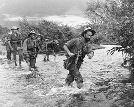 2010年11月上映的高分电影汇总,【必看推荐】建议收藏