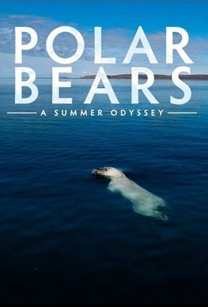 2012年4月上映的高分电影汇总,【必看推荐】建议收藏