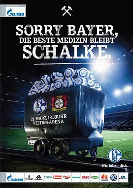 FC Schalke 04 vs Bayer 04 Leverkusen