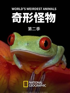 2012年6月播出的高分电视剧汇总,你追过哪部?