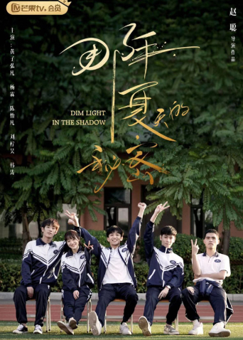 2020年1月播出的高分电视剧汇总,你追过哪部?