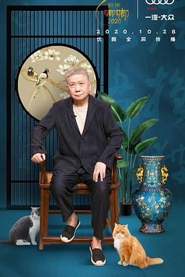 2020年10月播出的高分电视剧汇总,你追过哪部?