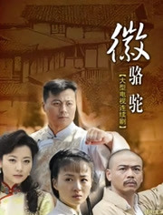 2015年2月播出的高分电视剧汇总,你追过哪部?