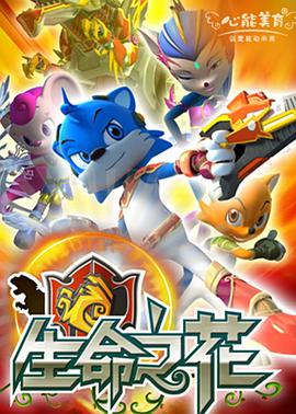 2010年12月播出的高分电视剧汇总,你追过哪部?