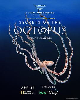 2024年4月播出的高分电视剧汇总,你追过哪部?