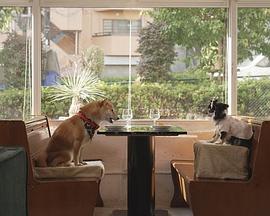 2023年3月播出的高分电视剧汇总,你追过哪部?