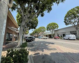 2022年11月上映的高分电影汇总,【必看推荐】建议收藏