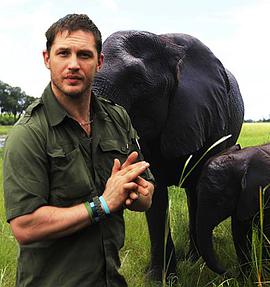 2013年7月上映的高分电影汇总,【必看推荐】建议收藏