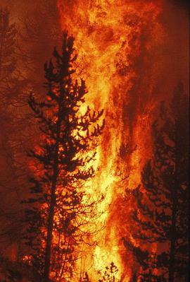 奥克兰72小时火灾