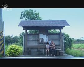 2011年3月播出的高分电视剧汇总,你追过哪部?