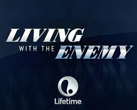 2015年7月播出的高分电视剧汇总,你追过哪部?