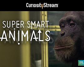 2012年2月上映的高分电影汇总,【必看推荐】建议收藏