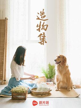 2015年7月播出的高分电视剧汇总,你追过哪部?