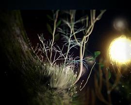 2010年4月上映的高分电影汇总,【必看推荐】建议收藏