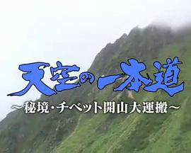 2010年11月上映的高分电影汇总,【必看推荐】建议收藏
