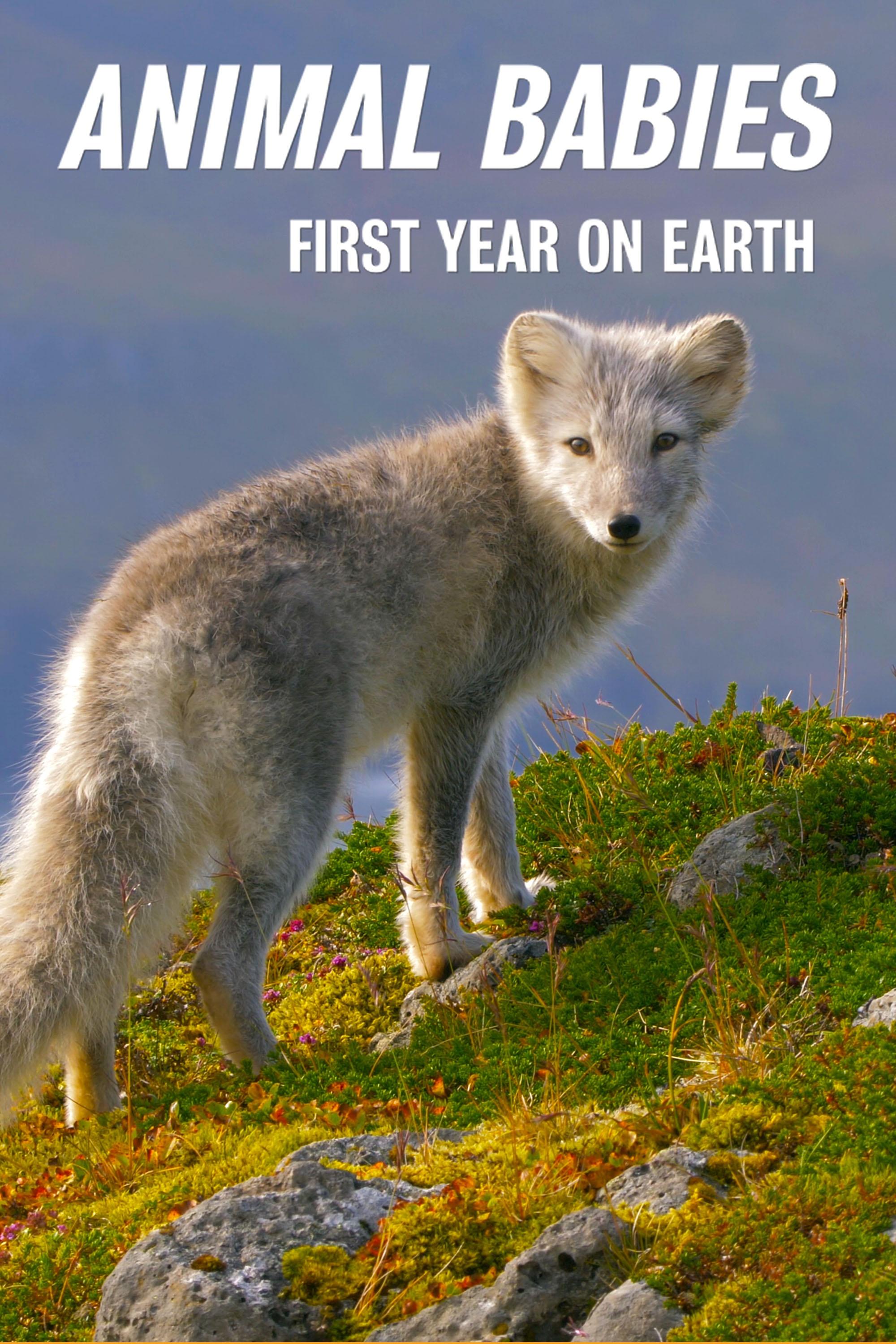 2019年7月上映的高分电影汇总,【必看推荐】建议收藏